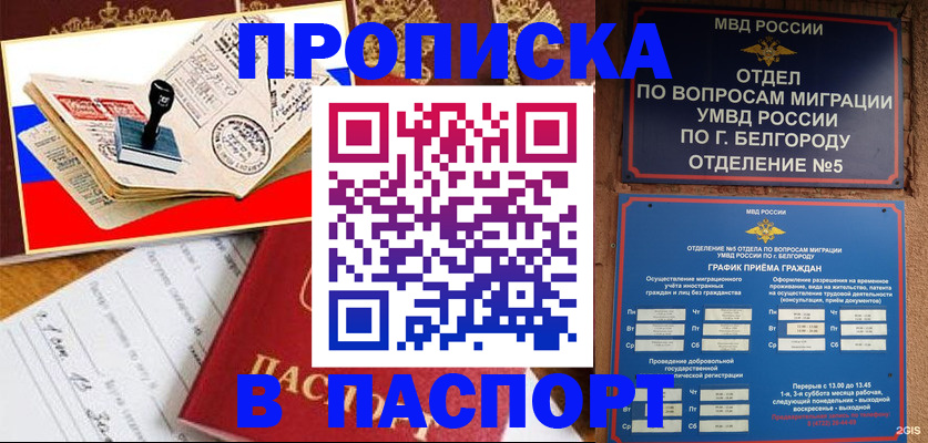 купить прописку в Шатуре